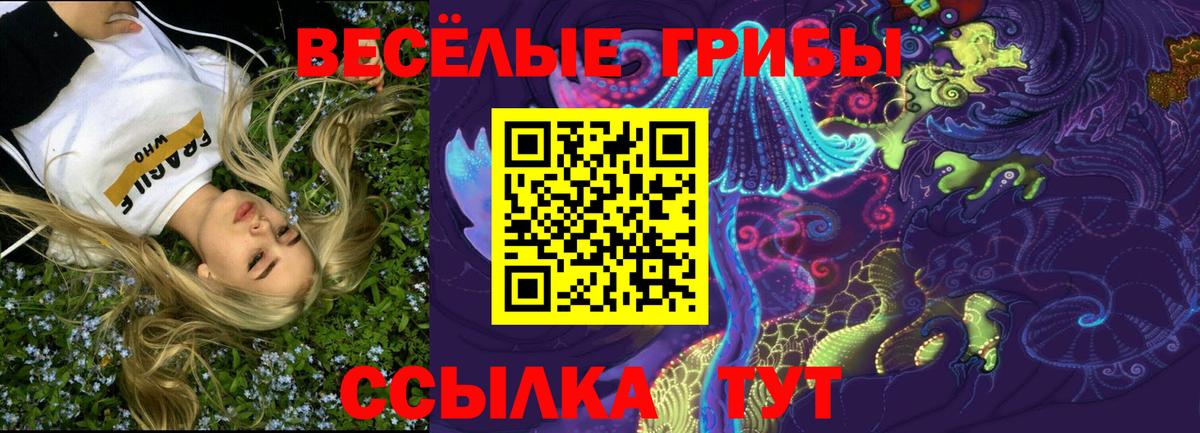 Псилоцибиновые грибы GOLDEN TEACHER  Вход с VPN  купить наркоту  Тайшет 